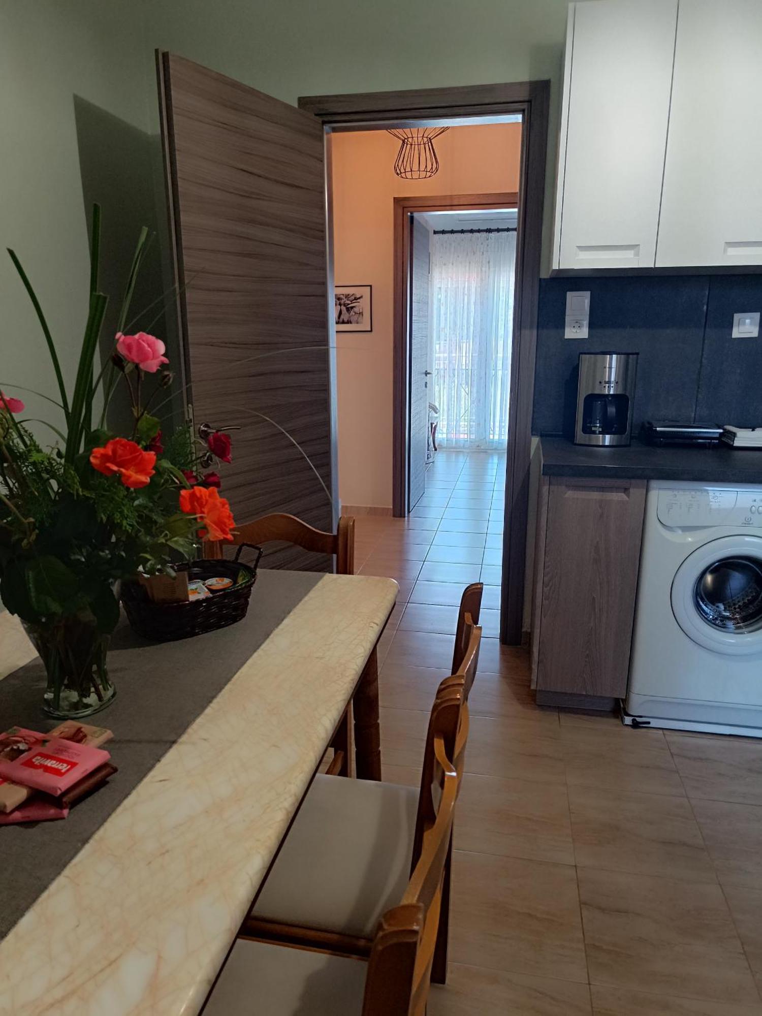 Panos House - High Luxury Apartment ตริกาลา ภายนอก รูปภาพ
