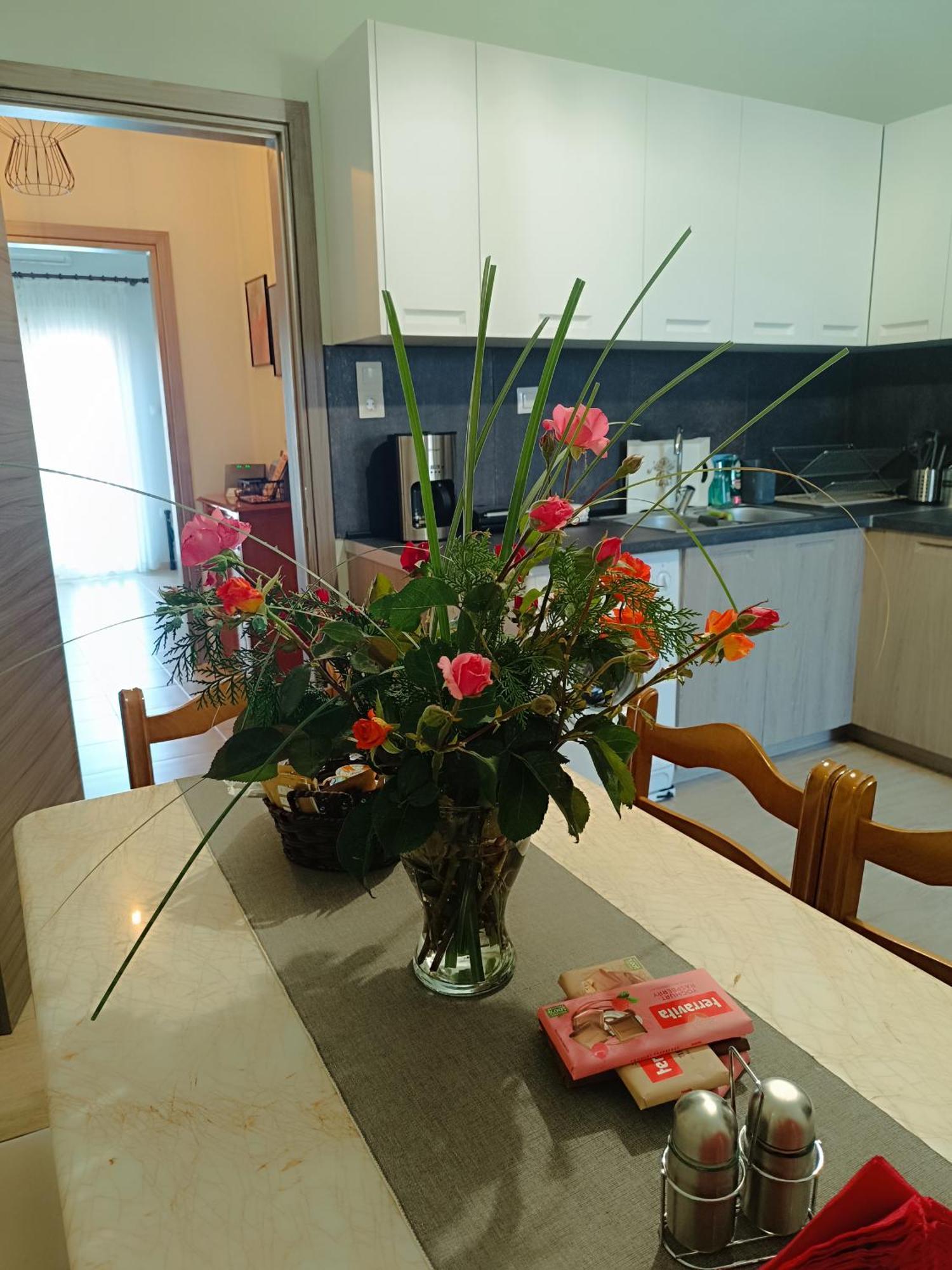 Panos House - High Luxury Apartment ตริกาลา ภายนอก รูปภาพ